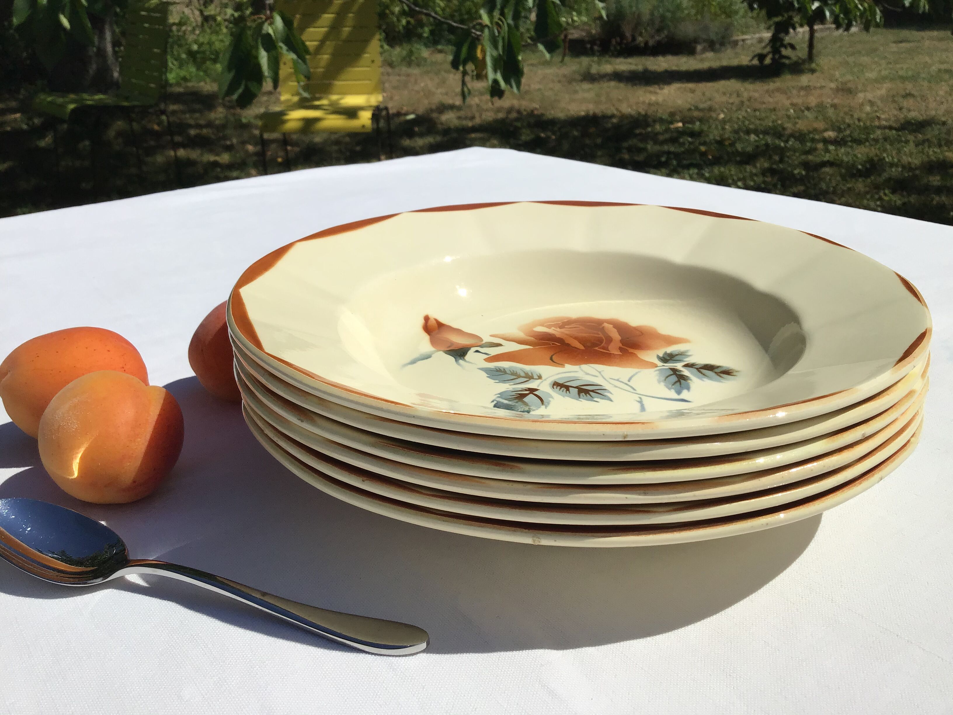 6 Digoin beige caramel edge hollow plates