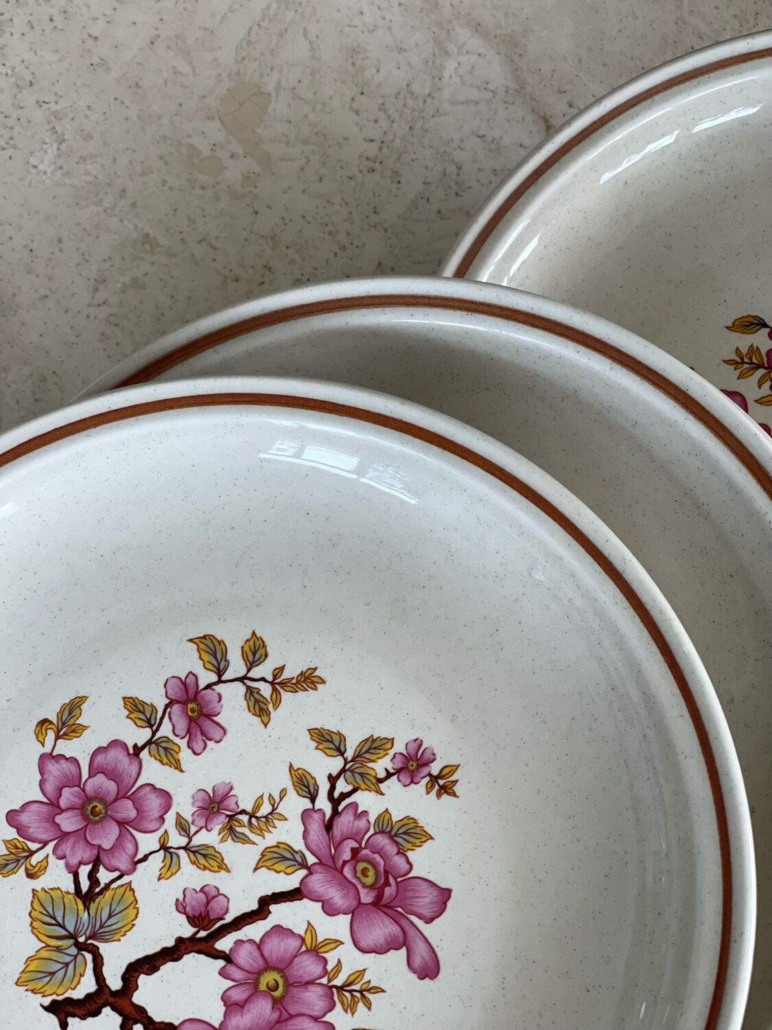 5 Gien dessert plates