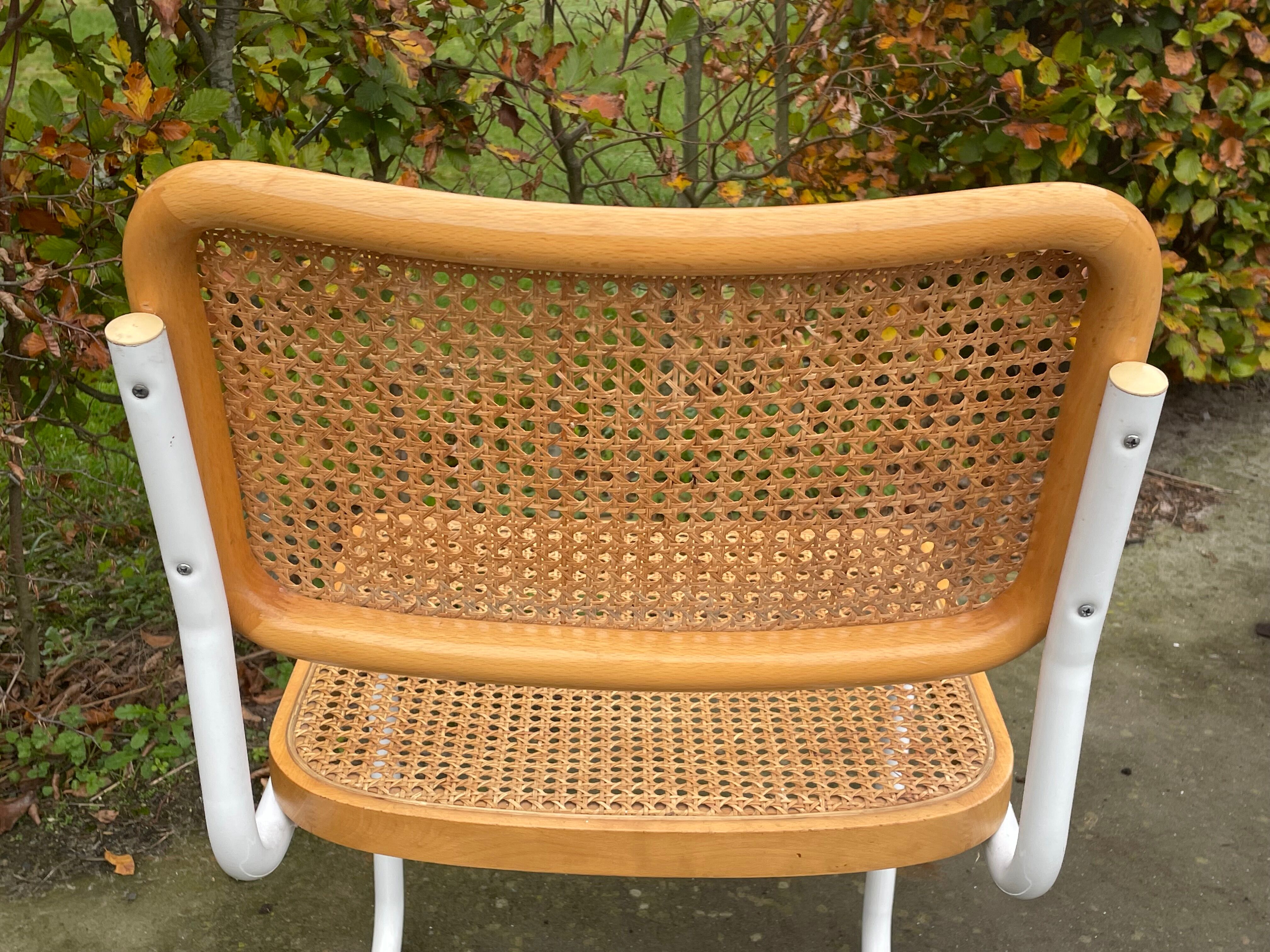 Cesca chair b32 model in white and wood by Marcel Breuer