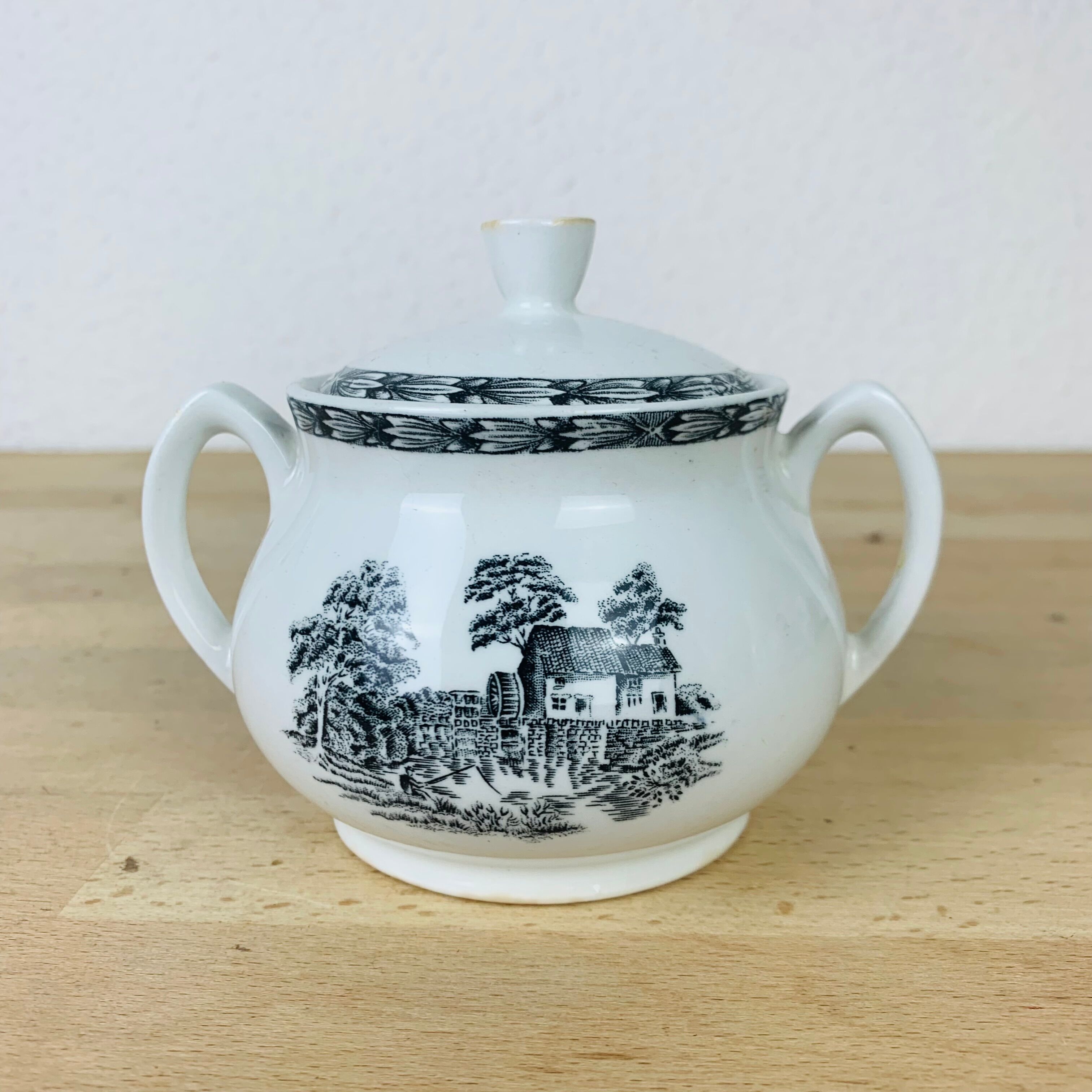 Rustic England Grindley & Co tea set