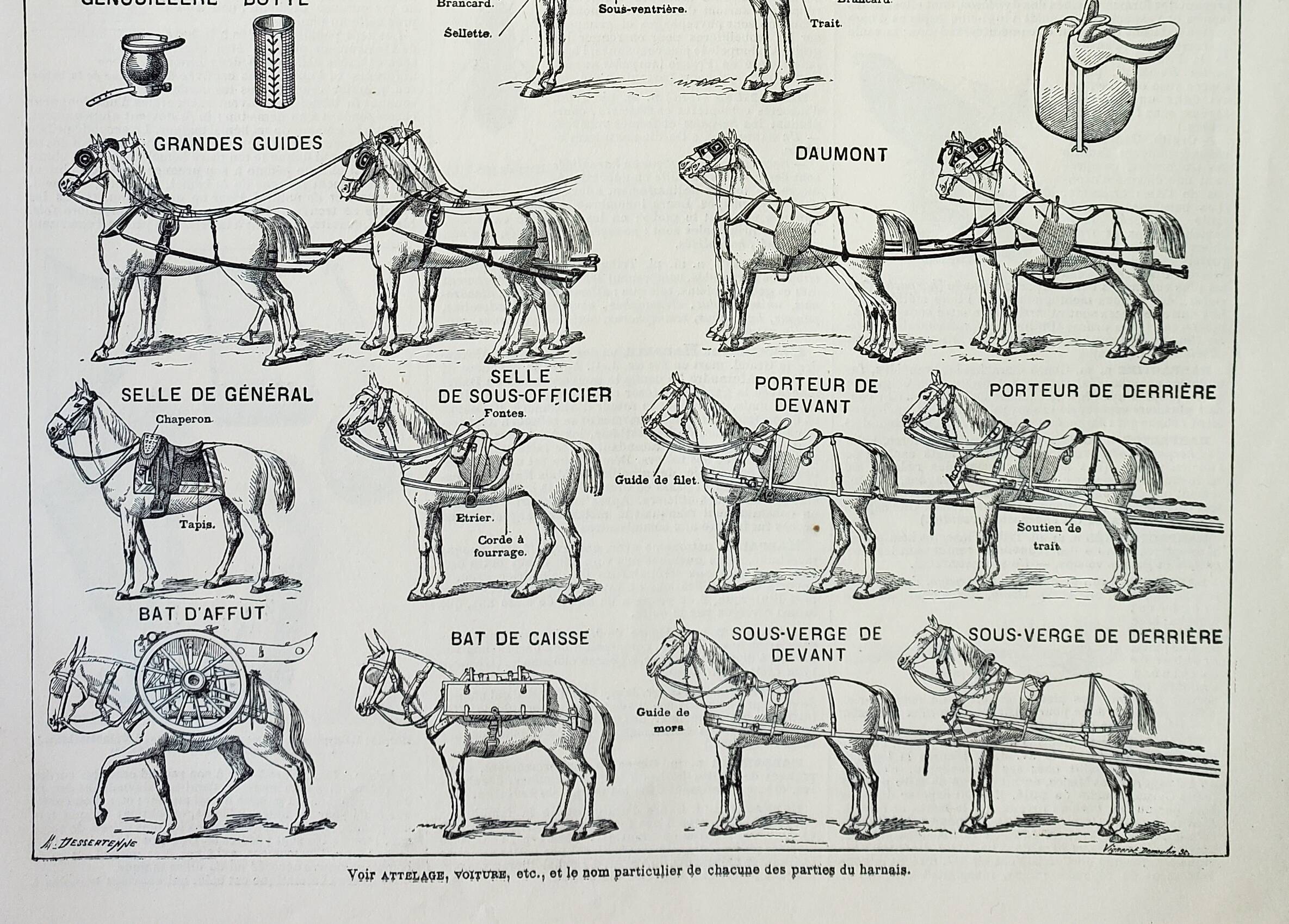 Harnais Ancien Kummet Pour Chevaux - Vintage, Parfait Décoration