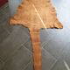 Kangaroo skin