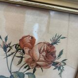 Lithograph PJ Redouté
