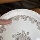 12 Digoin plates with brown flowers