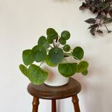 Vintage wooden tripod stool