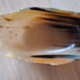 2 buffalo horn cups