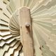 Eventail of handcrafted on the island of Sao Tomé. Material: bamboo
