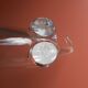 Vide-poche teckel cristal Art Vannes