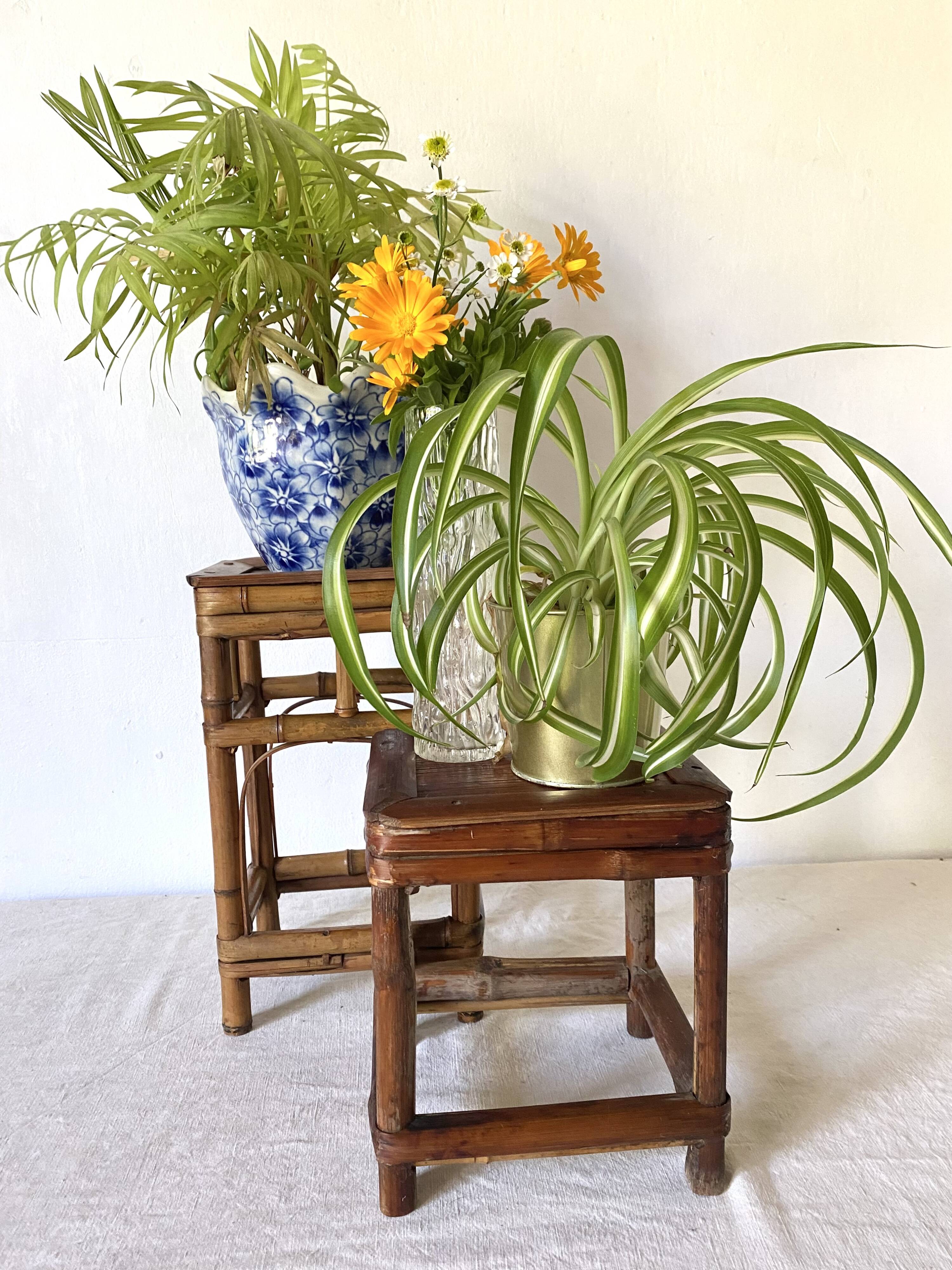 Vintage bamboo plant holders