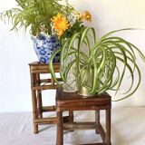 Vintage bamboo plant holders