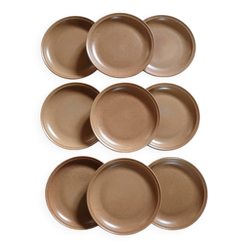 9 assiettes plates en grès de Sarreguemines 