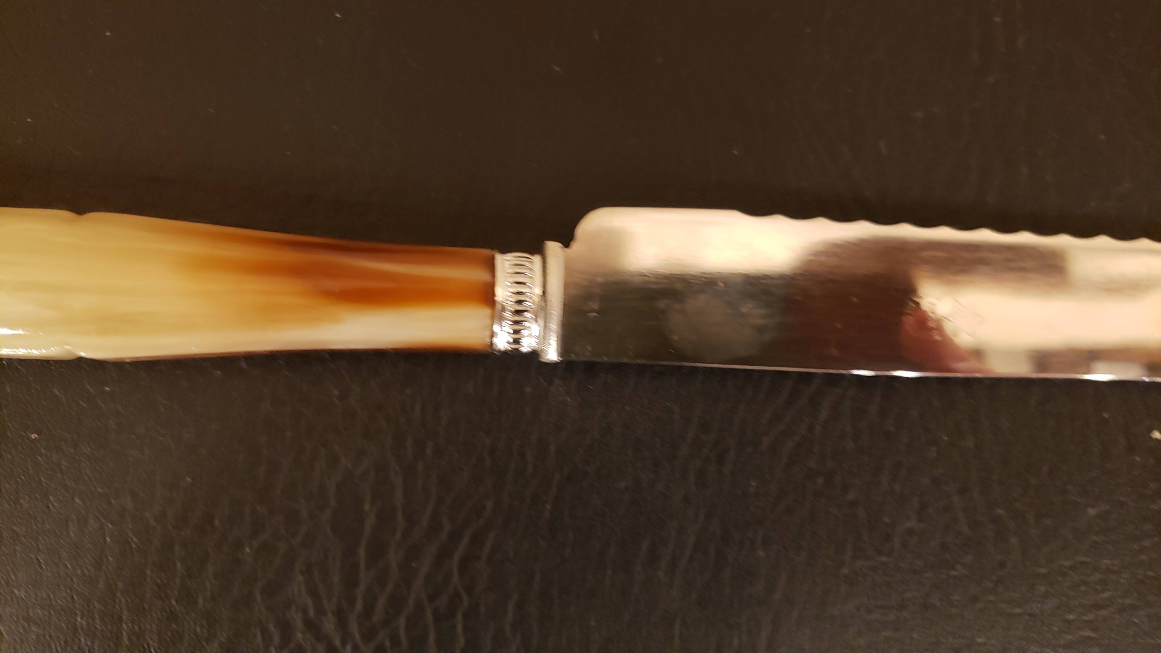 Serrated serving knife in its vintage case