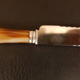 Serrated serving knife in its vintage case