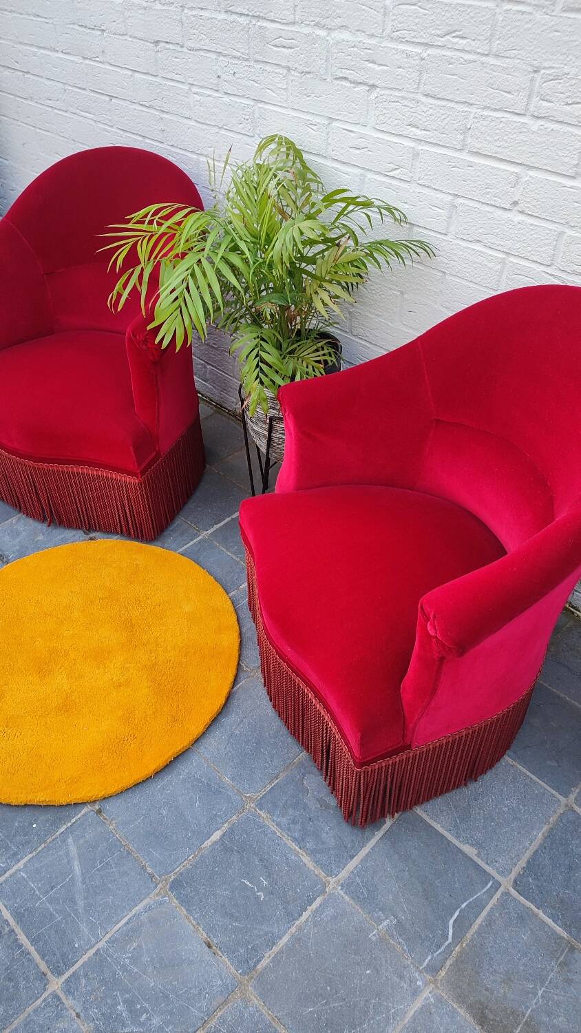 2 velvet toad armchairs