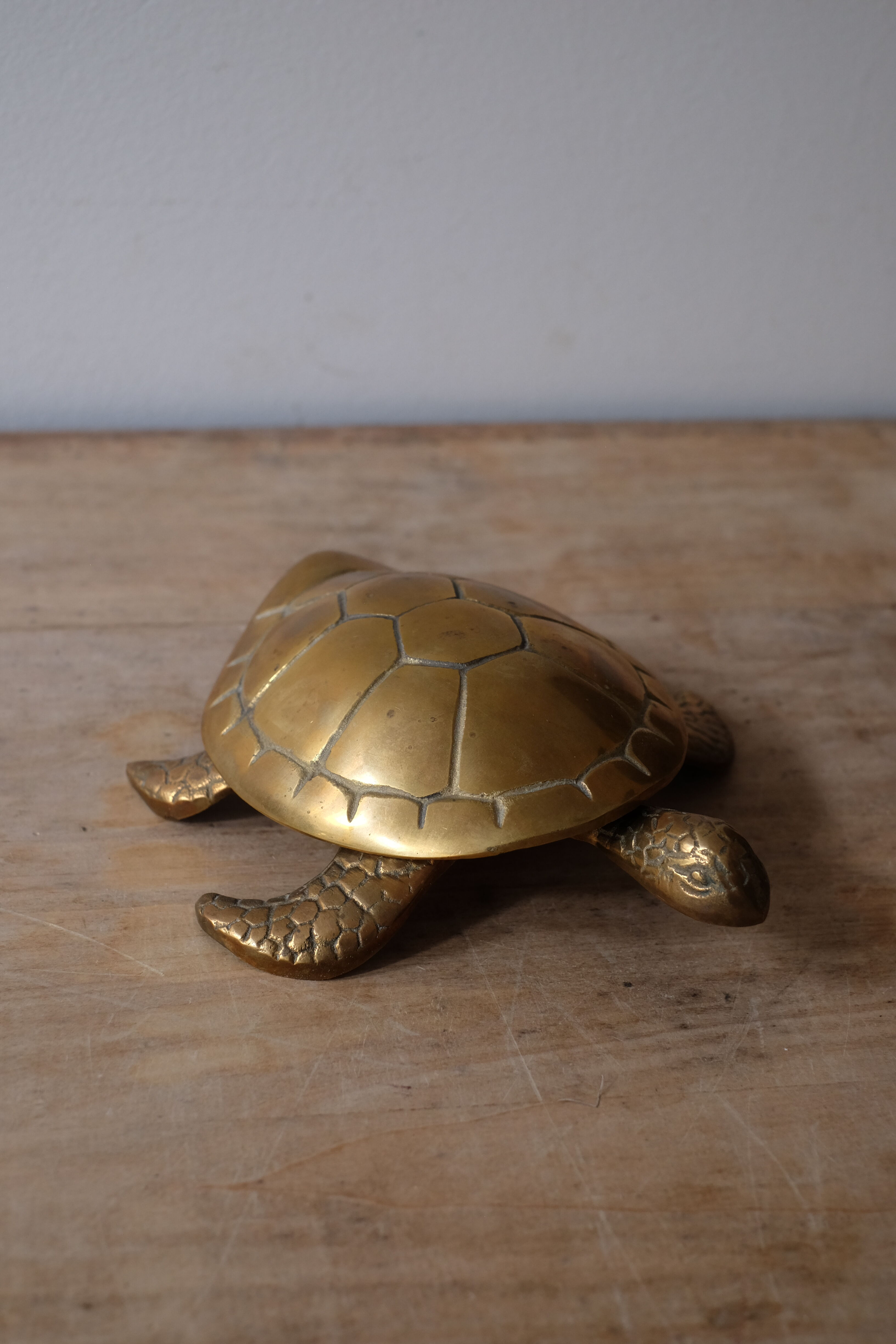 Empty brass turtle pocket