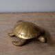 Empty brass turtle pocket