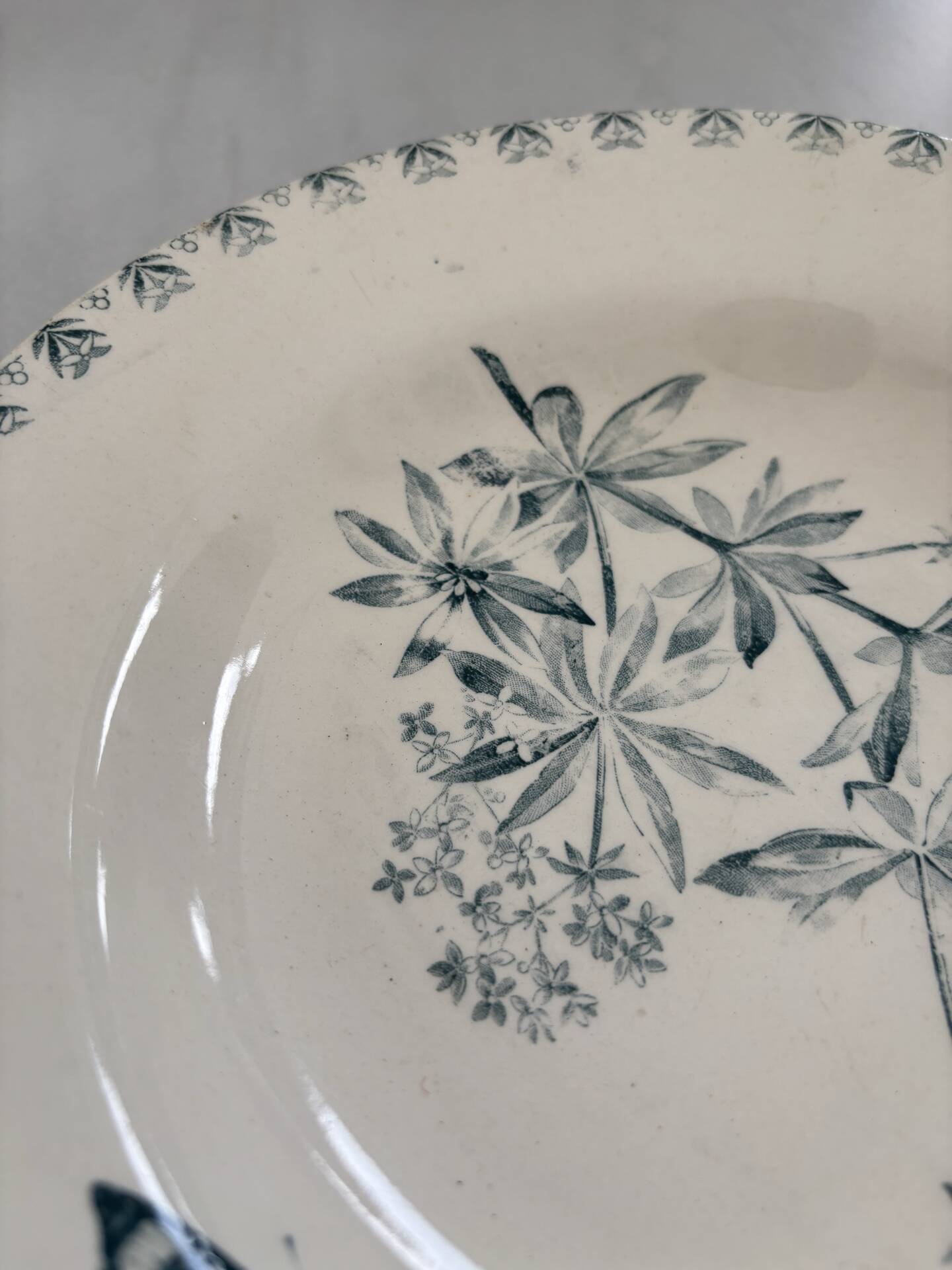 Shallow dish ironstone butterfly pattern Valius model