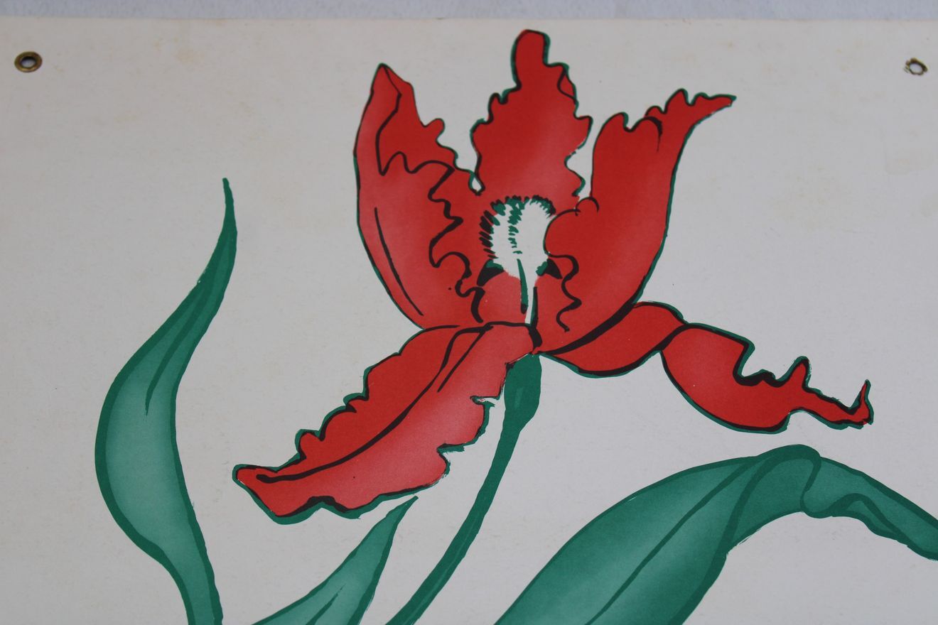 Poster Rémi and Colette