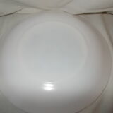 4 vintage Arcopal plates