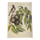 Gravure ancienne oiseau - Rossignol de muraille-  Planche zoologique de Seligmann & Catesby