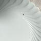 Haviland Limoges porcelain round dish