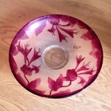 Coupe legras ruby series