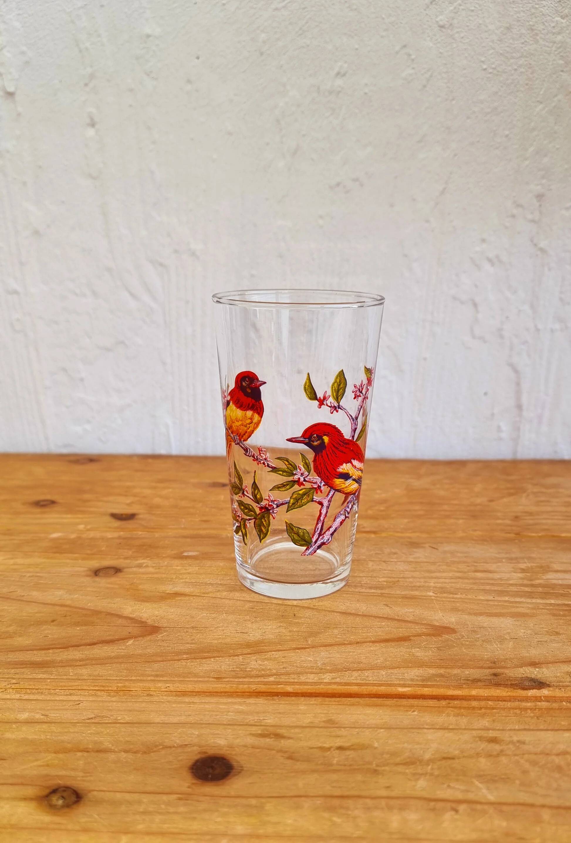 Vintage 1970s orangeade set with a jug and 8 glasses decorated with birds.