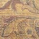 Oriental silk wool rug