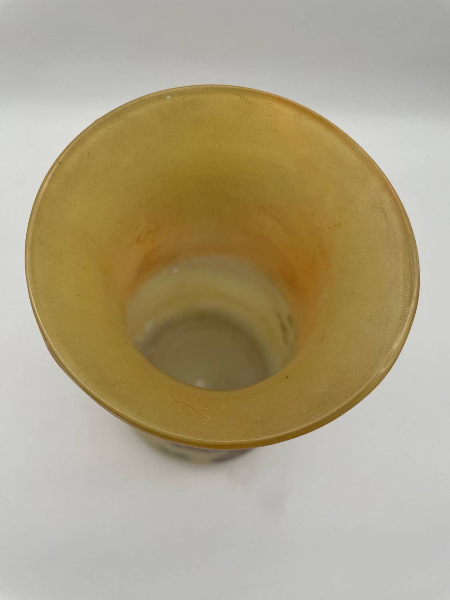 Legras Art Nouveau vase in enameled glass with flower decoration