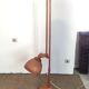 Vintage lamp 1960 wood goes up and down
