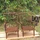 Paire de fauteuils éventail Baumann