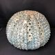 Vintage ceramic forming urchin - signed