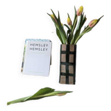 Check, Stripe & Gingham Large Square Vases - Green