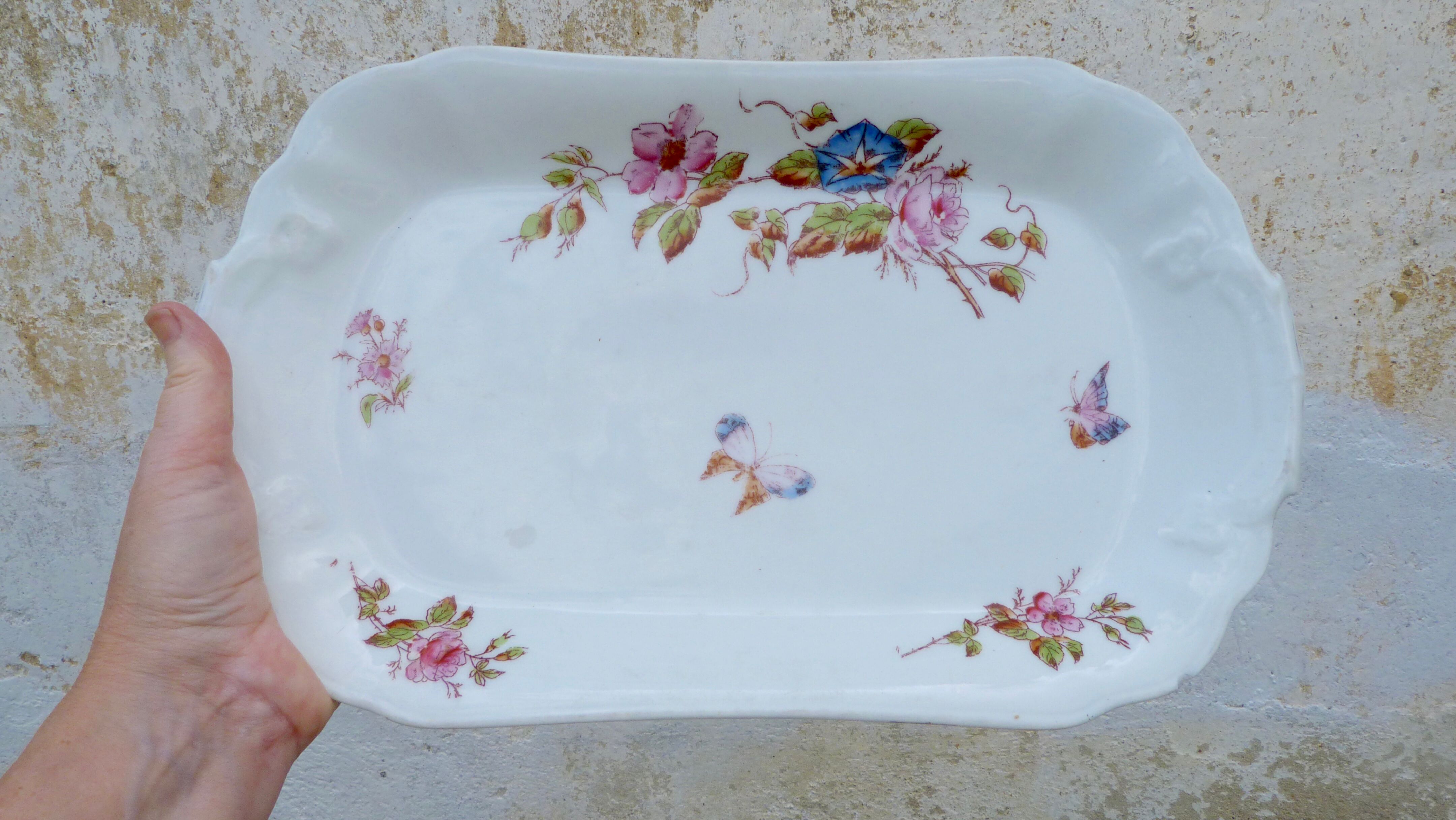 Ancient dish of the 19th Century Charles Pillivuyt Mehun France flowers and butterflies