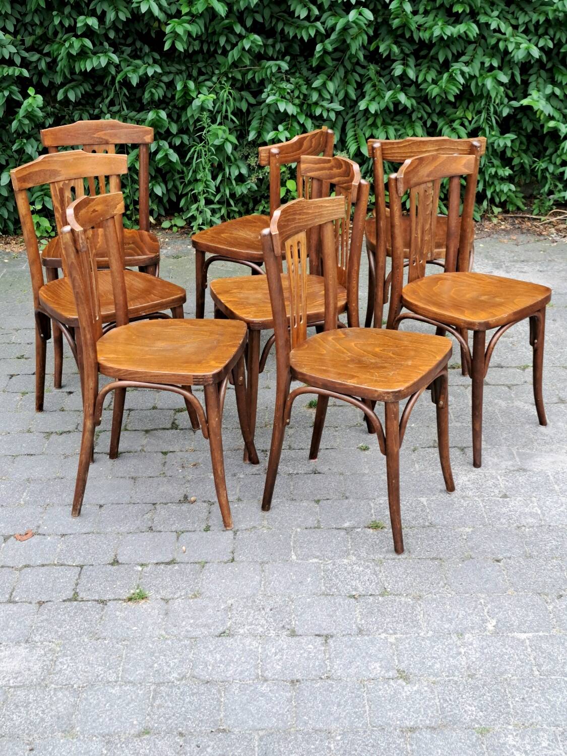 30 vintage Drevounia chairs.