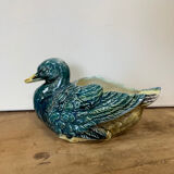 Duck in a slip