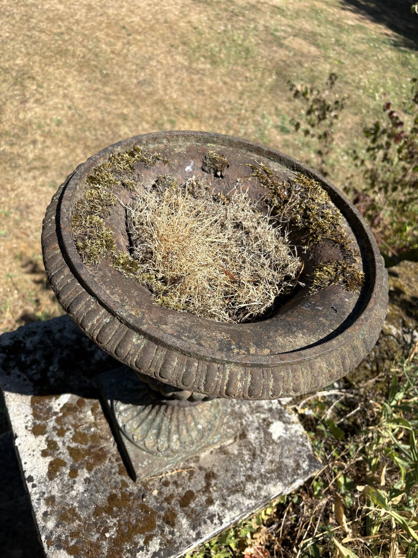 Pair of Médicis vases in cast iron