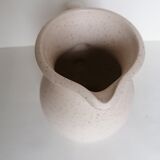 Pitcher botanical decoration