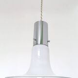 Pair of Murano Glass Pendants attr. to Alessandro Pianon for Vistosi