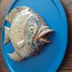Vallauris ceramic wall sculpture of a relief fish on a blue plaque.