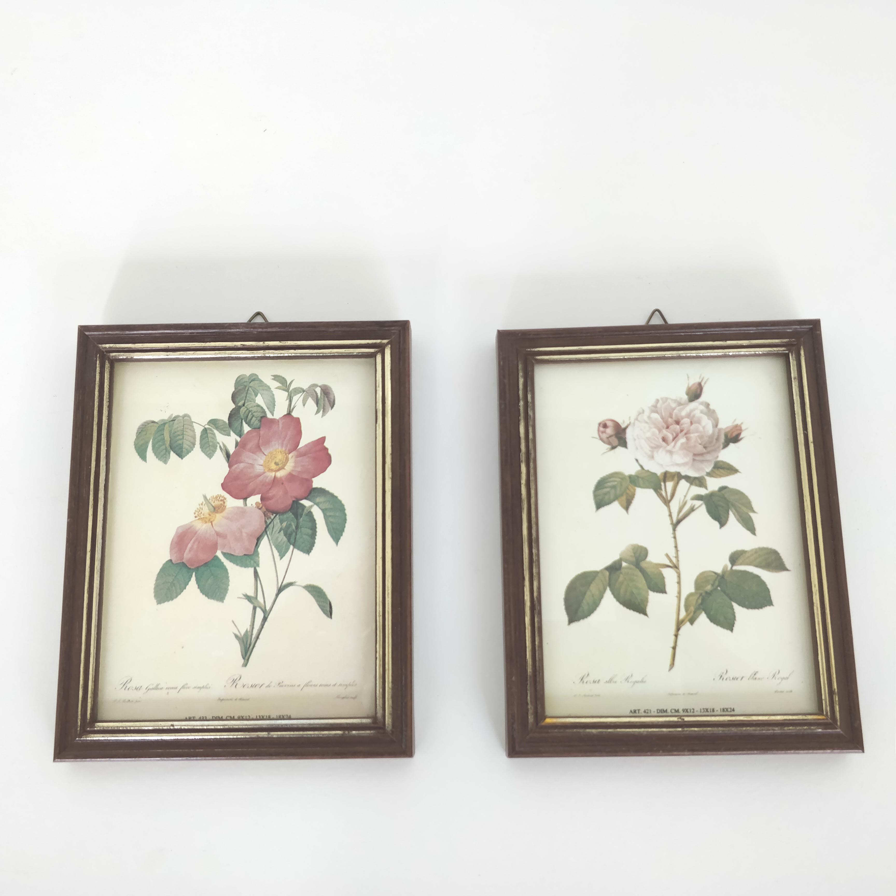 Pair rose illustrations