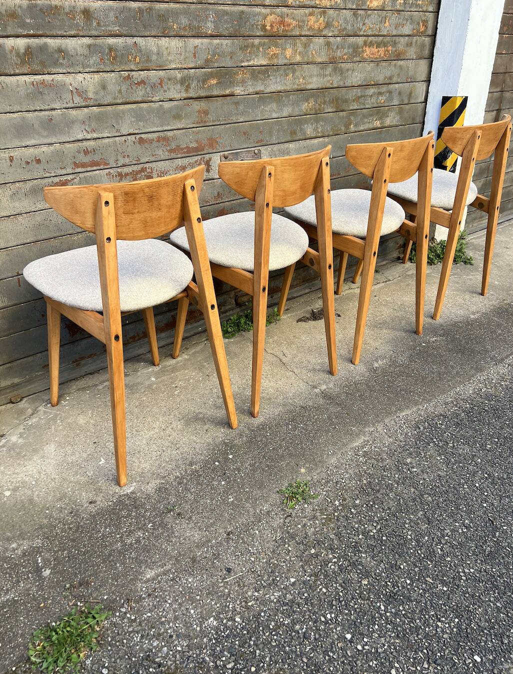 (Lot) 4 chaises Baumann Fontania (restaurées) 1960