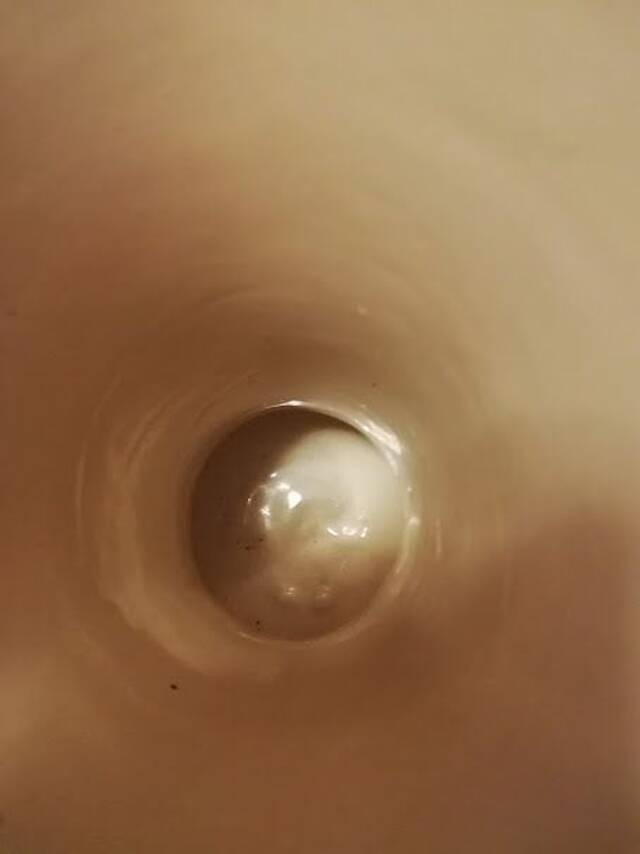 Baudin ceramic vase