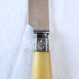 Box of 6 Appetizer Knives in Resin and Metal Vitolas Art Nouveau Style 19th Century