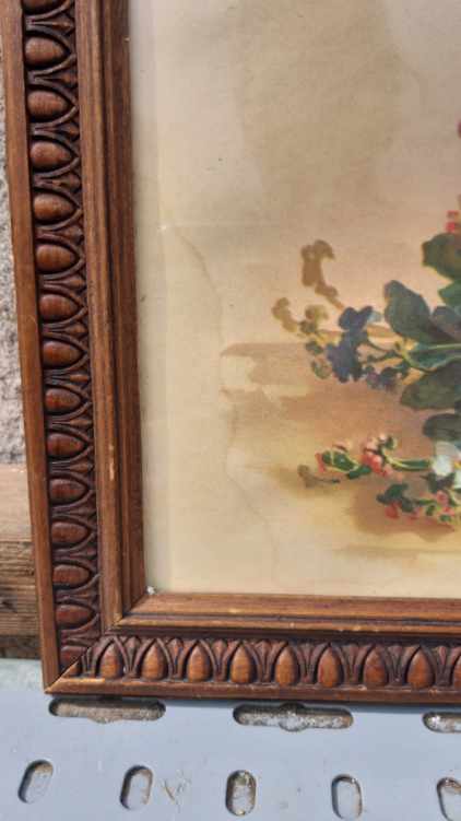 Myosotis flower painting