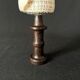 Shell Conus Litteratus on blackened turned wooden base old cabinet of curiosities