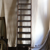 Large old ladder
