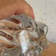 Small vase Daum France