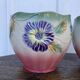 Pair of earthenware plant pots