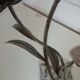 Antique chandelier in cast iron/metal and porcelain